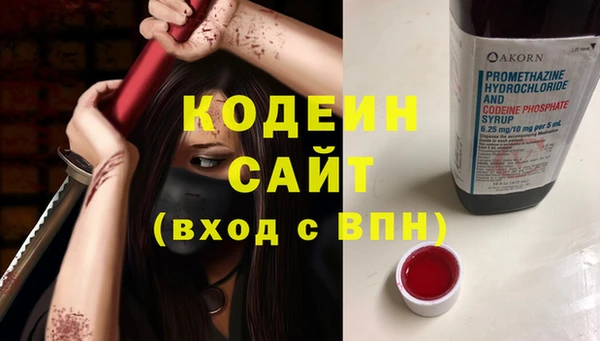 шишки Белокуриха