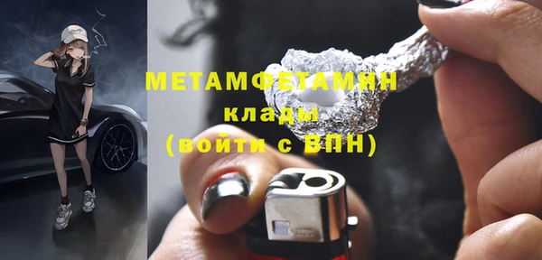 шишки Белокуриха