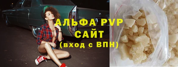 шишки Белокуриха