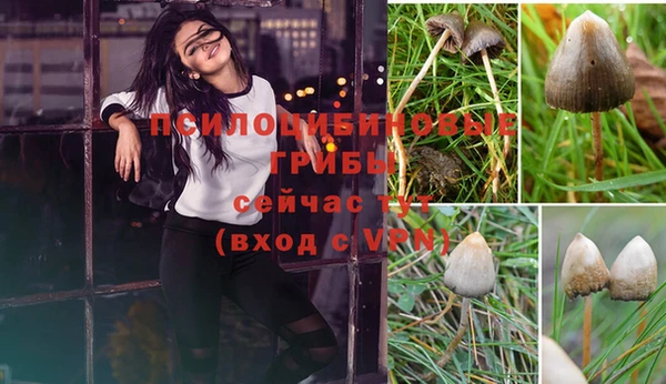 ECSTASY Беломорск