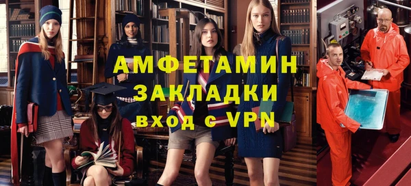 шишки Белокуриха