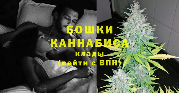 винт Бородино