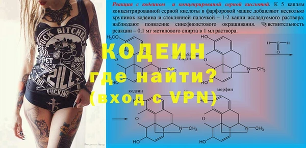 шишки Белокуриха