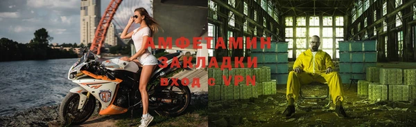 шишки Белокуриха