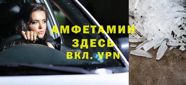 шишки Белокуриха