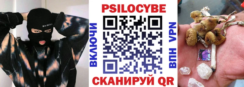Псилоцибиновые грибы GOLDEN TEACHER  наркошоп  Каневская 